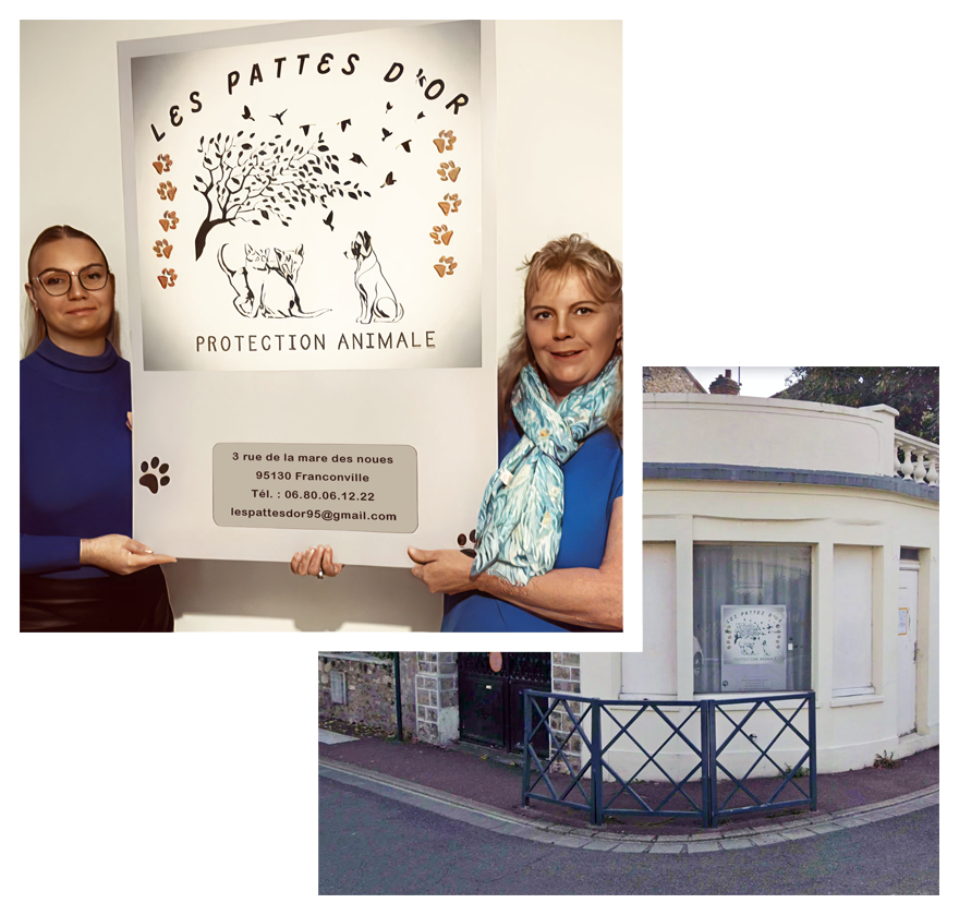 Association Les Pattes d'Or